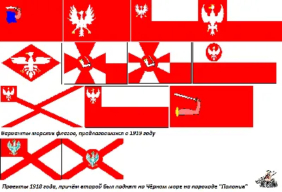 Светлые 3D флизелиновые фотообои Польский флаг (13478V)+клей купить по цене  200,00 грн