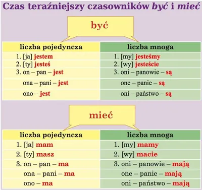 Учим польский по картинкам - Новости