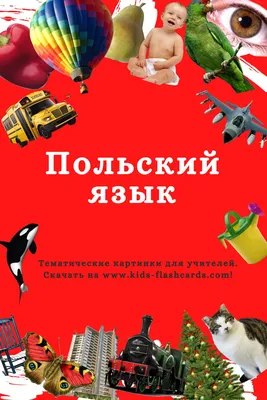 1300+ Бесплатных Карточек на Польском в PDF Формате