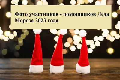 Фото-участников-помощников Деда Мороза в 2023 году - 6 | ZАРЯ ЕГОРЛЫКСКАЯ