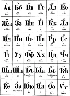 строение скелета руки