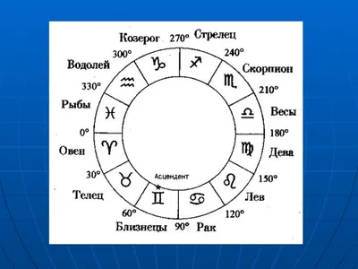 Лев: характеристики знака, совместимость | 7Дней.ру