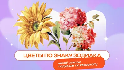 Холодные мамы.Знаки Зодиака | Тайны Зодиака | Дзен