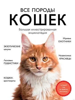 Все породы кошек. Большая иллюстрированная энциклопедия Любовь Романова,  Алина Ярощук - купить книгу Все породы кошек. Большая иллюстрированная  энциклопедия в Минске — Издательство Эксмо на OZ.by