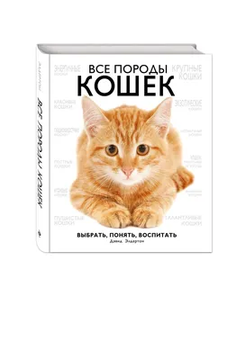 Названы самые популярные у россиян породы кошек — РБК