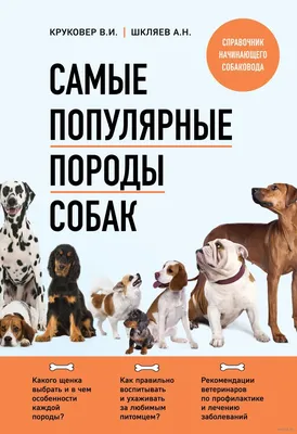 Кане-корсо: фото, описание, характер породы собак - Purina ONE®