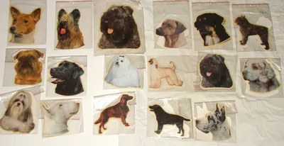 Большая Коллекция Общих Породы Собак — стоковые фотографии и другие картинки  Собака - Собака, Породистая собака, Изолированный предмет - iStock