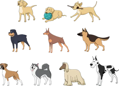 Какие есть породы собак, фото и названия. Породы собак для детей - YouTube