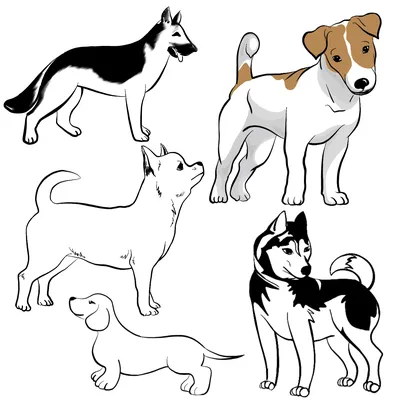 силуэты пород собак PNG , животные, черный, разнообразие PNG картинки и пнг  рисунок для бесплатной загрузки