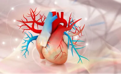 Метод лечения пороков сердца