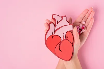 Почему формируются врожденные пороки сердца и что нужно знать беременным
