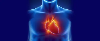 Приобретенные пороки сердца – диагностика и лечение в ФНКЦ ФМБА России