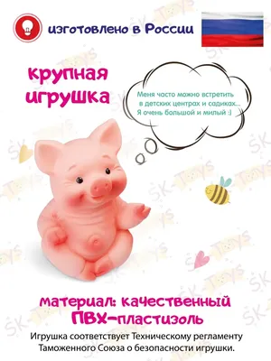 Мягкий поросенок игрушка для детей с колокольчиком / Донецк (250): 125 грн.  - Мягкие животные Донецк на Olx