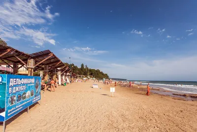 Пляж «Золотой берег» - фото, описание, как добраться