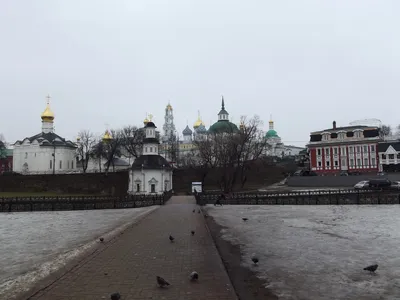 Купить квартиру в Лоза - База недвижимости ГородКвадратов.ру