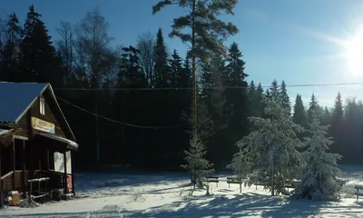 Купить участок, 9 сот., Садовый по адресу Московская область, городской  округ Воскресенск, коттеджный посёлок Виноградная Лоза за 1 450 000 руб. в  Домклик — поиск, проверка, безопасная сделка с жильем в офисе Сбербанка.