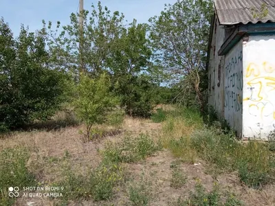 Как живут люди в поселке Сенной Темрюкский район Краснодарский край/  Переезд на юг - YouTube