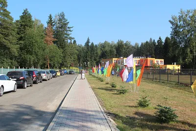 Купить Квартиру в дачном посёлке Зеленоградский (Московская область) - 27  объявлений о Продаже Квартир Недорого: Планировки, Цены и Фото – Домклик