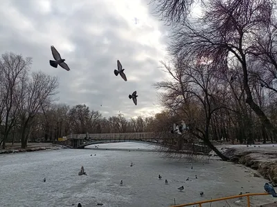 В последний день января в Рязани потеплеет и усилится ветер » Новости Рязани