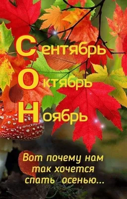 Последний день октября принесет летнее тепло: что ждать от погоды во  вторник. Читайте на UKR.NET
