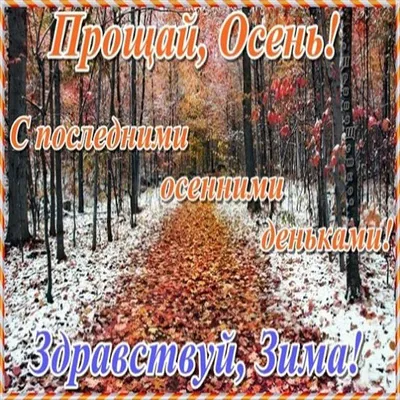 В последний день октября в Белгороде резко похолодает - Новости Белгорода