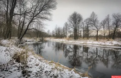 Последний день осени / Осень :: растения :: Природа (красивые фото природы:  моря, озера, леса) :: фото :: Larit / смешные картинки и другие приколы:  комиксы, гиф анимация, видео, лучший интеллектуальный юмор.