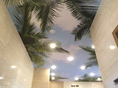 Фото потолков натяжных в гостиной: создайте уютную атмосферу для гостей