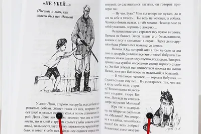 Мир вокруг книга `Малышарики. Лесные животные` поучительные книги для детей  (ID#1838198657), цена: 90 ₴, купить на Prom.ua