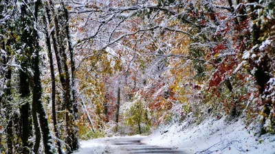 Поздняя осень... / Поздняя осень... / Фотография на PhotoGeek.ru