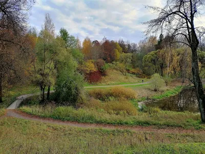 Лес поздней осенью - Природа - Картинки для рабочего стола - Мои картинки