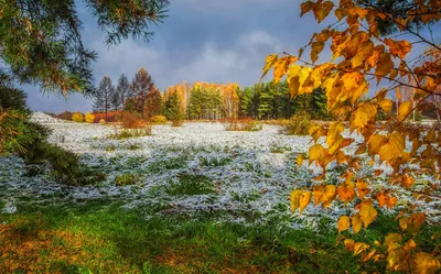 ПОЗДНЯЯ ОСЕНЬ