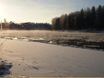 Фото Поздняя осень на фотохостинге Fotoload