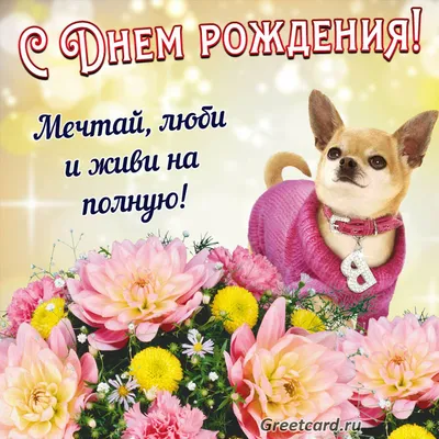 Поздравления с днем рождения в прозе - Довідковий Миколаїв