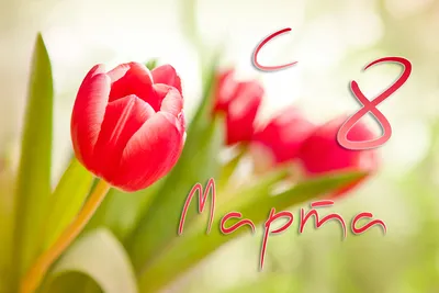 Поздравить девушку с 8 марта в Вацап или Вайбер - С любовью, Mine-Chips.ru