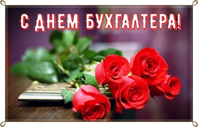 16 июля 2015 года – поздравляем коллег с днём бухгалтера!