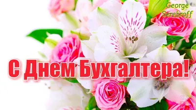 Открытки день бухгалтера с днем бухгалтера...