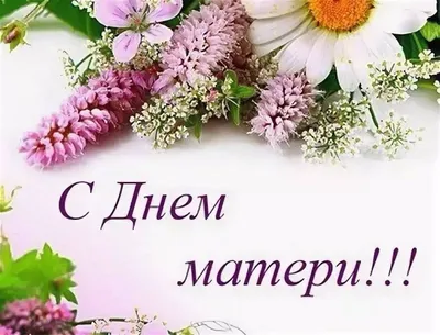 Поздравление депутата Государственной Думы Татьяны Соломатиной с Днем матери