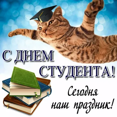 Картинки с днем студента 25 января: прикольные открытки и поздравления с  праздником - МК Новосибирск