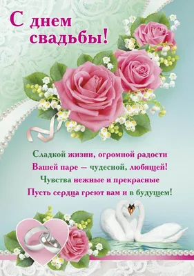 56 лет, годовщина свадьбы: поздравления, картинки - годовщина свадьбы (12  фото) 🔥 Прикольные картинки и юмор