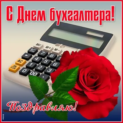 Поздравляем с днем бухгалтера, красивая открытка - С любовью, Mine-Chips.ru