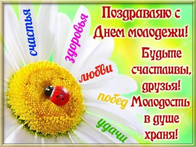 Спраздником #Днем #Молодежи #Прикольное #видео #поздравление #надень # молодежи #Музыкальная #видео #открытка #… | Открытки, Поздравительные  открытки, Веселые мысли