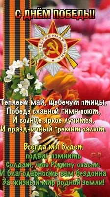 С ДНЁМ ПОБЕДЫ! 💐🎀🌿 9 МАЯ! | День памяти, Юбилейные открытки, Праздничные  открытки