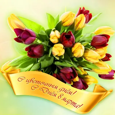 Поздравления для женщин с 8 марта, красивые открытки » Информационно  аналитический портал «Эхо Недели»