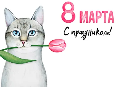Стильный волк поздравляет с 8 марта - Скачайте на Davno.ru | Открытки,  Смешные валентинки, Веселые картинки