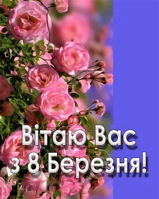 Поздравление с 8 марта – Новости – Окружное управление социального развития  (Раменского городского округа, городских округов Бронницы и Жуковский)