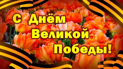 9 мая – День Победы. Поздравление районного исполнительного комитета и  районного Совета депутатов — ПРАЦА