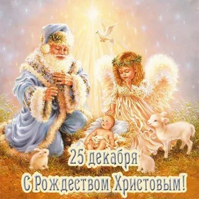Поздравляю с волшебным праздником — Католическим Рождеством!. Обсуждение на  LiveInternet - Российский Сервис Онлайн-Дневников