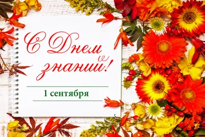 Топпер для торта \"\"Всегда 18! Остальное стаж\"; Украшение для торта; Топпер  С Днем рождения; Юбилей. BurlakovaDECOR\", 10 шт, 1 уп. - купить по низким  ценам в интернет-магазине OZON (910245170)