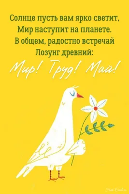 1 мая: шуточные поздравления и прикольные открытки - Завтра.UA