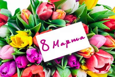 С праздником 8 марта! — Управление ветеринарии Ростовской области